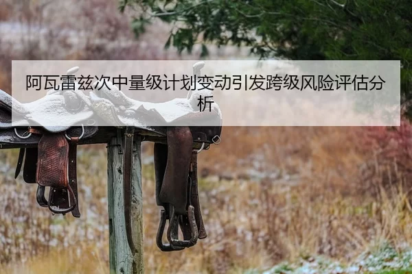 阿瓦雷兹次中量级计划变动引发跨级风险评估分析