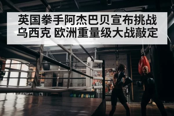 boxer training