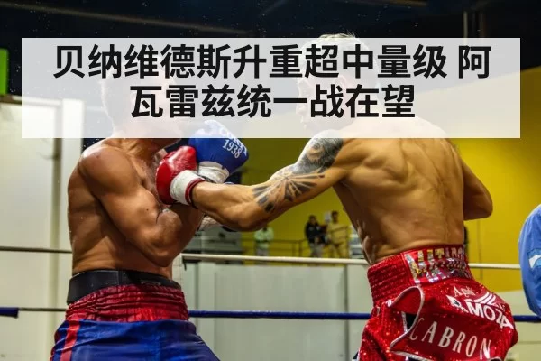 boxing fight action