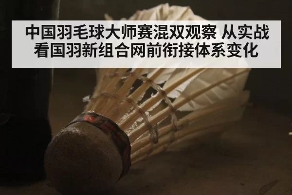 中国羽毛球大师赛混双观察 从实战看国羽新组合网前衔接体系变化